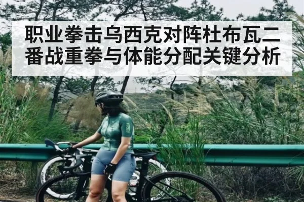 职业拳击乌西克对阵杜布瓦二番战重拳与体能分配关键分析